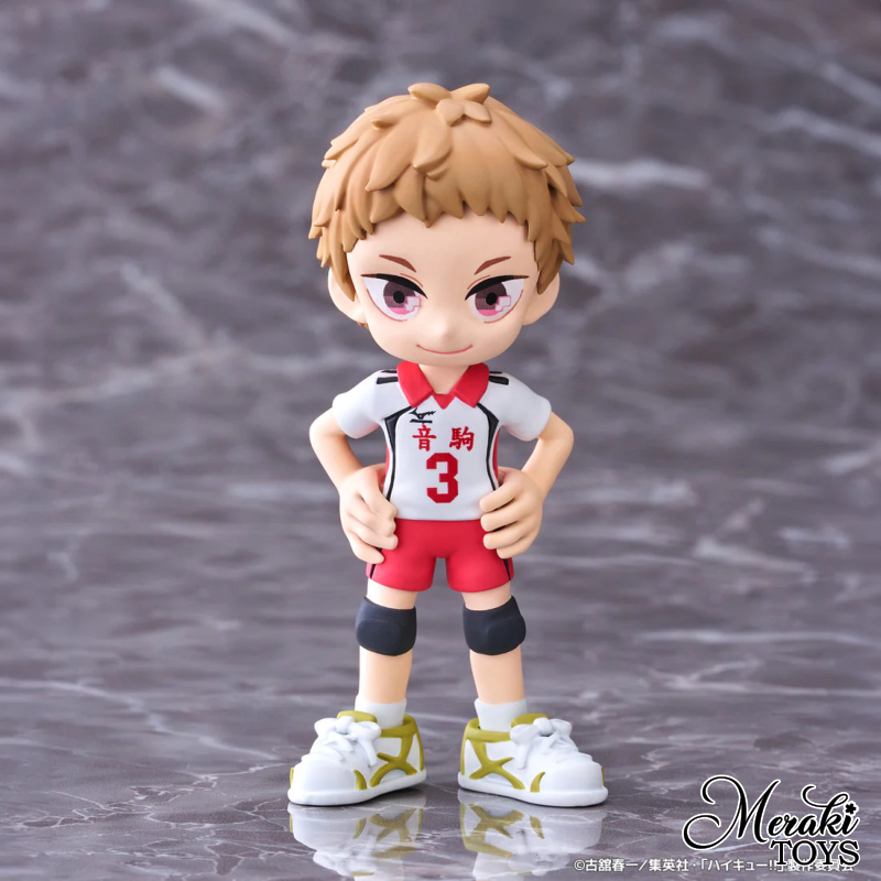 Haikyu! Palverse