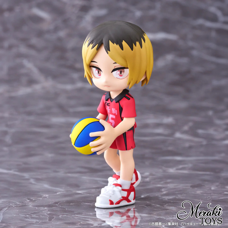 Haikyu! Palverse