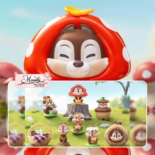 Disney Chip And Dale Chestnut Fight